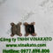 z7744932796771_aed6dfa2249b4bd0534d0787bcd6b641