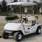 ce-approved-lead-battery-powered-2-seater-electric-golf-cart-dg-c2-2