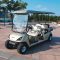 marshell-6-seater-electric-golf-cart-with-rear-seat-dg-c4-2