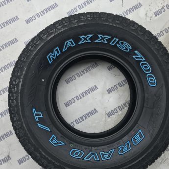 lop maxxis (1)